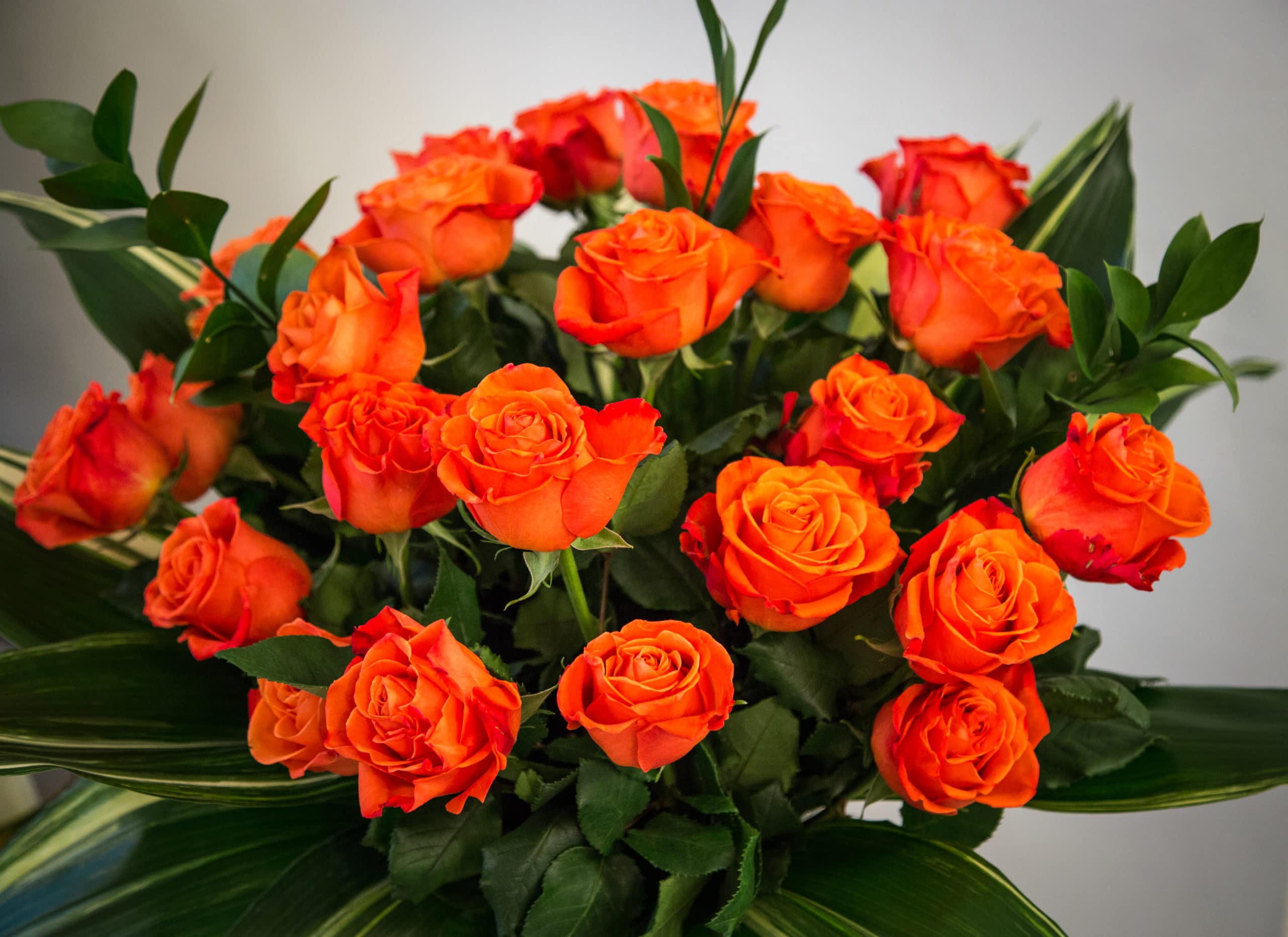 Roses in the meditation room